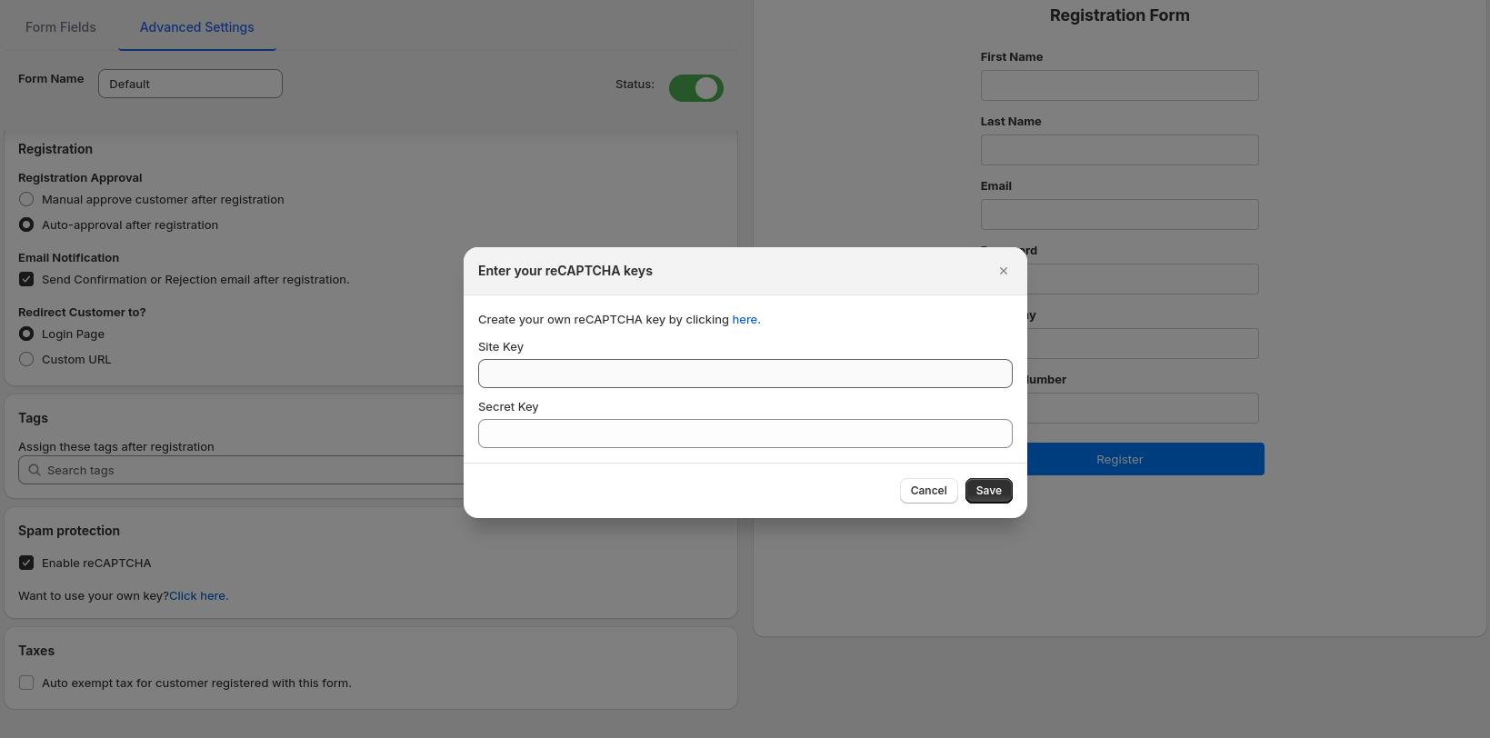 reCAPTCHA Key Entry Popup